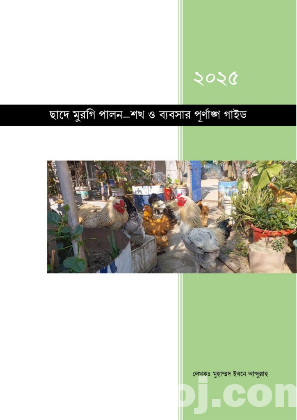 ছাদে মুরগি পালন